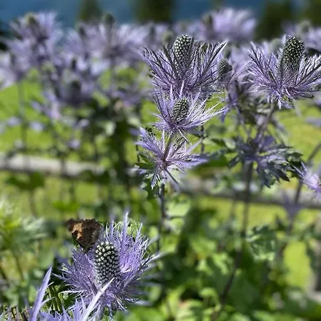 Lägenhet Tgesa Sunnmatt 24 *