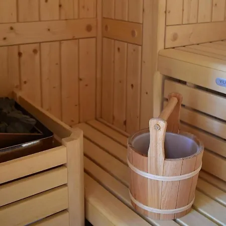 Tgesa Sunnmatt 24 公寓 萨沃宁