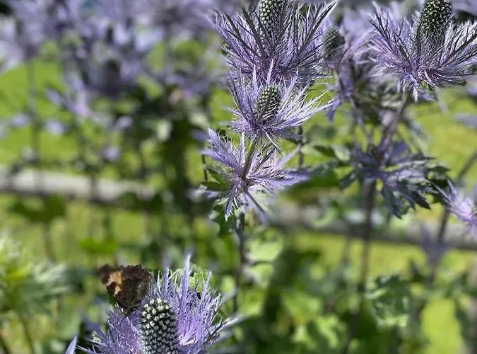 Lejlighed Tgesa Sunnmatt 24 *